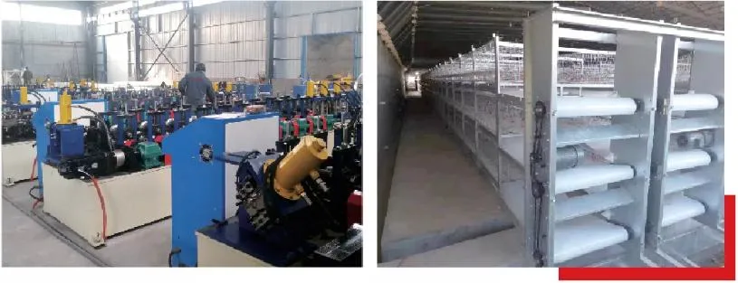 Automatic Poultry Feeding and Drinking System Breeding Equipment for Farm Poultry Ground Floor Raising Used for Guail/Cattle/Duck/Chicken with Robot/Fan Curtain