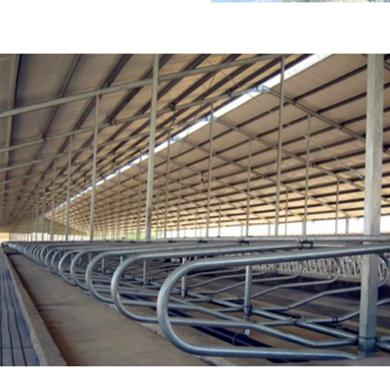 Hot DIP Galvanized Customizable Cattle Farm Equipment Livestock Cage