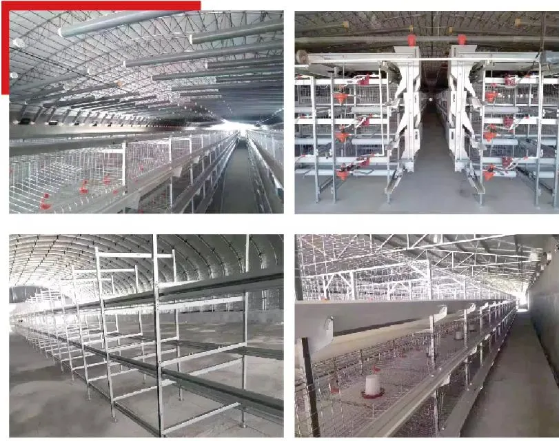 Automatic Poultry Feeding and Drinking System Breeding Equipment for Farm Poultry Ground Floor Raising Used for Guail/Cattle/Duck/Chicken with Robot/Fan Curtain