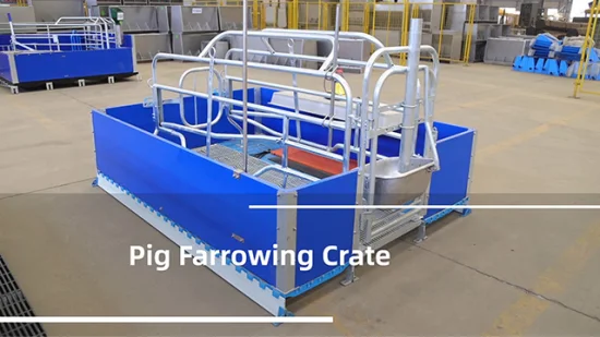 Hengyin Livestock Pig Farm Equipment Sows Farrowing Crate and Design Farrowing Crate